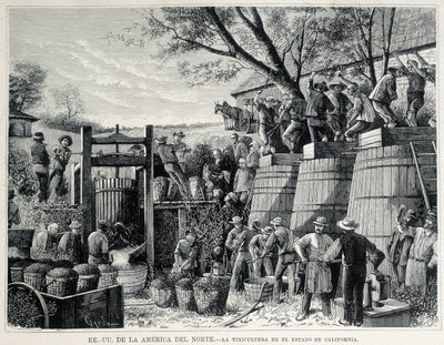 Gravure de 1876 représentant la viticulture en Californie au 19ème siècle - Unknown artist