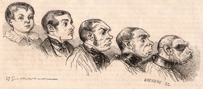 Évolution d