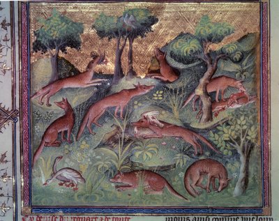 Chasse au renard. Miniature du manuscrit « Le livre de la chasse » (folio 34v) par Gaston Phébus (1331-1391) dit Gaston III Comte de Foix - Unknown artist