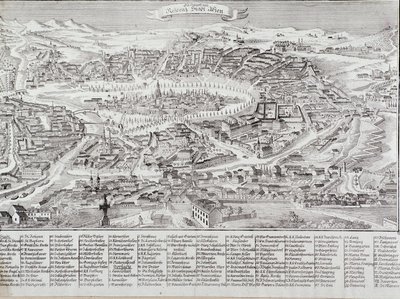 Vue générale de la ville de Vienne avec détail des principaux bâtiments et monuments. Autriche Gravure de 1800 Collection privée - Unknown artist