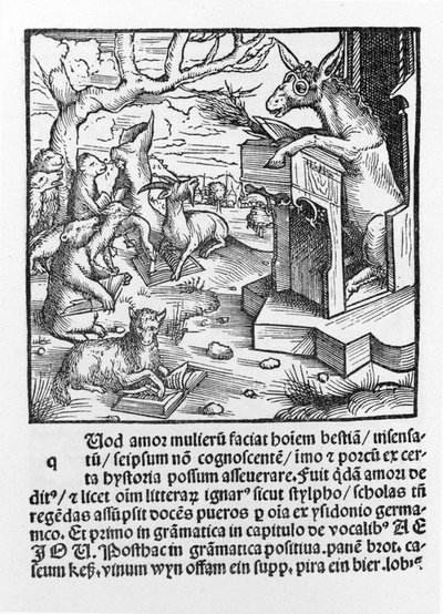 Incunable allemand représentant un âne enseignant une classe d