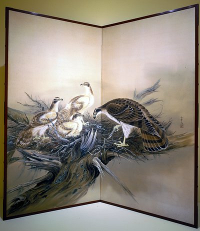 Faucons, nid et arbre brisé - Unknown artist