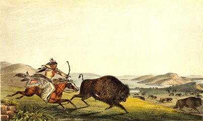 Chasse au bison en Amérique du Nord. XIXe siècle. - Unknown artist