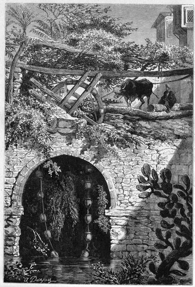 Irrigation en Égypte : un bœuf fait tourner une roue autour de laquelle sont enrouillés des seaux. Gravure dans « Le Monde Illustré » n°1313 du 27 mai 1882 - Unknown artist