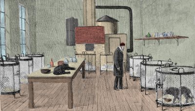 Louis Pasteur (1822-1895), chimiste et physicien français dans son laboratoire à Paris. - Unknown artist