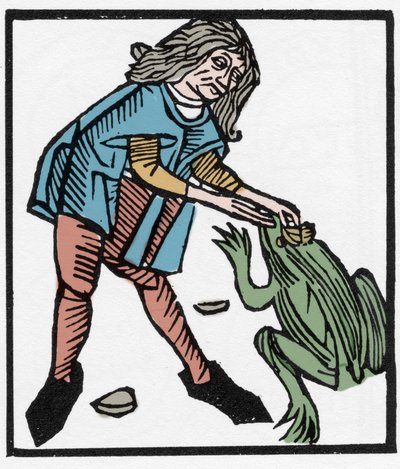 Extraction de la pierre de crapaud pour des fins magiques - Manière d
