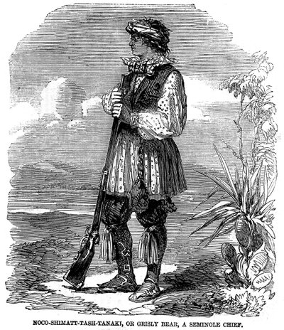 Noo-Shimatt-Tash-Tanaki, ou ours gris, un chef séminole - Unknown artist