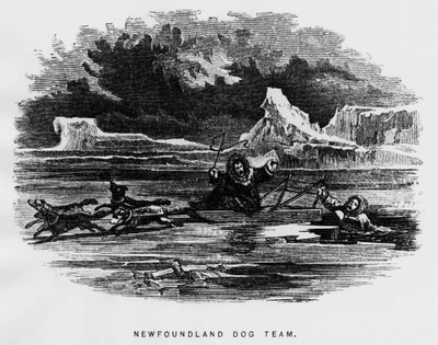 Pôle Nord : chien de traîneau survolant un homme tombant à travers la glace - Elisha Kent Kane, Explorations arctiques dans les années 1853-1855, Philadelphie, Childs et Peterson - Unknown artist
