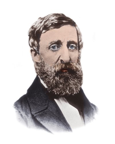 Portrait de Henry David Thoreau - Unknown artist