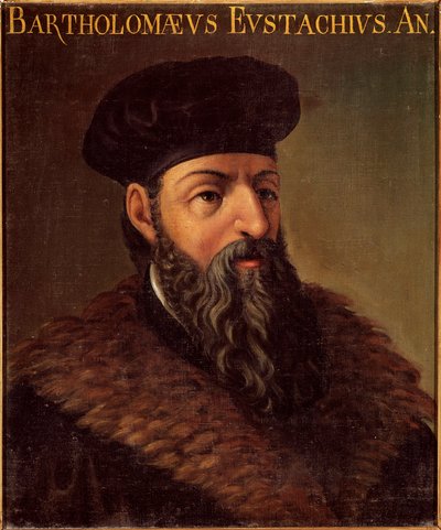 Portrait de l