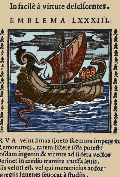 Représentation d