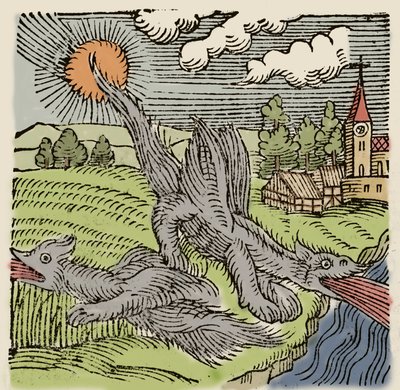 Représentation de basilics en vol brûlant des champs de blé. Gravure de « Prodigiorum ac ostentorum chronicon » par Conrad Lycosthenes. 1557. - Unknown artist