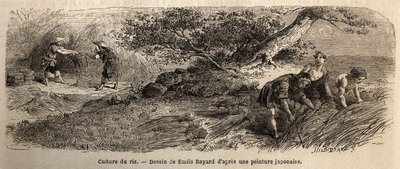 Culture du riz : récolte en octobre, les tiges sont réunies en bottes. Gravure pour illustrer le voyage au Japon en 1863-1864, par Aimé Humbert, ministre de la Confédération suisse, dans « Le tour du monde, nouveau journal des voyages », publié sous la dir - Unknown artist