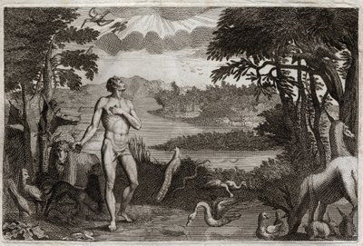 Bible de Royaumont, Ancien Testament : Création de l