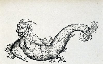 Diable de mer, supposément capturé dans la mer Adriatique au début du 15e siècle - selon Gesner - Unknown artist