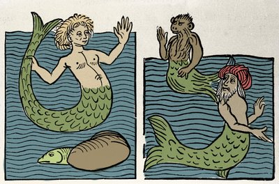 Sirène ou Vierge de la Mer, Singe et Turc de Mer. Gravure de « Hortus sanitatis » - Unknown artist