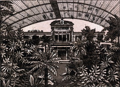 Le Palmengarten à Francfort, Allemagne, dans "Le monde illustré 168 vues" Non daté (fin XIXe siècle) - Unknown artist