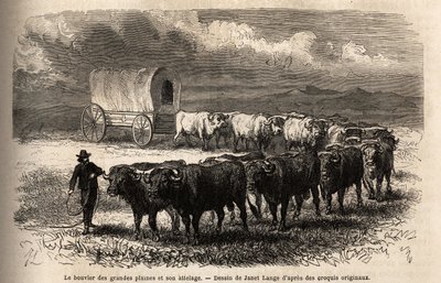 Le grand bœuf des plaines et son attelage. Gravure pour illustrer le voyage au Far West américain, par M. L. Simonin, en 1867, publié dans « Le tour du monde, nouveau journal des voyages » - Unknown artist