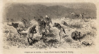 La caravane de porteurs de l