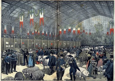 Le concours général agricole de Paris - 14 mars - Unknown artist