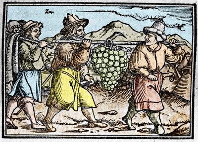 Le retour de Josué et Caleb avec une énorme grappe de raisin du pays de Canaan (Terre Promise). Chronique par Johann Stumpff "Den edlen strucen besten fromen" - Unknown artist