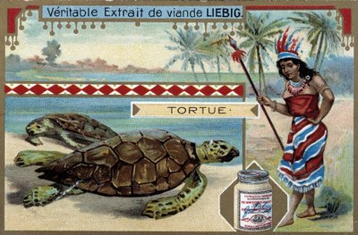 Tortue, avec une femme habillée comme une native d