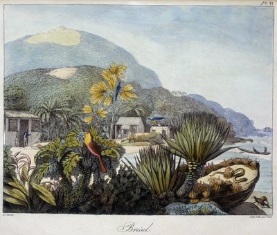 Vue du Brésil dans "Vues et paysages des régions équinoxiales, recueillies lors d