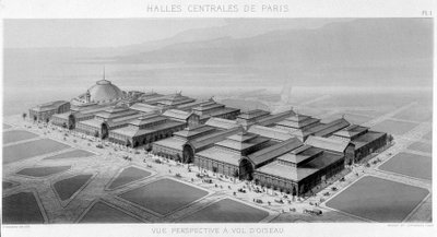 Vue du ciel des halles centrales de Paris (pavillons Balard) - Monographie des Halles centrales de Paris, par V. Balard - Unknown artist