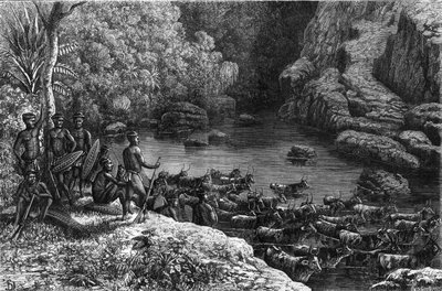 Zoulouland en Afrique : parce que la forêt n