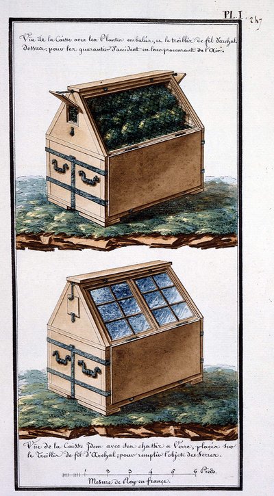 1. Vue de la boîte avec des plantes emballées, et treillis métallique sur le dessus : pour les protéger des accidents en leur fournissant de l