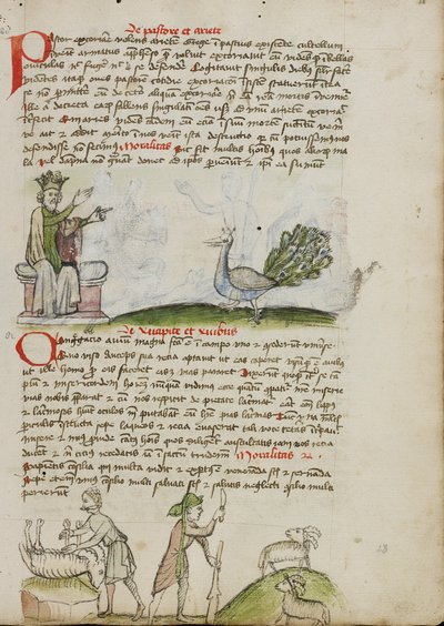 Un roi trônant parlant à un paon ; un berger tuant un bélier ; un berger avec un bâton et un couteau devant deux chèvres. - Unknown artist