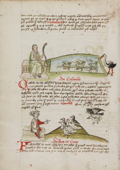 Un homme avec un serpent dans la main ; un roi parlant à une volée de colombes - Unknown artist