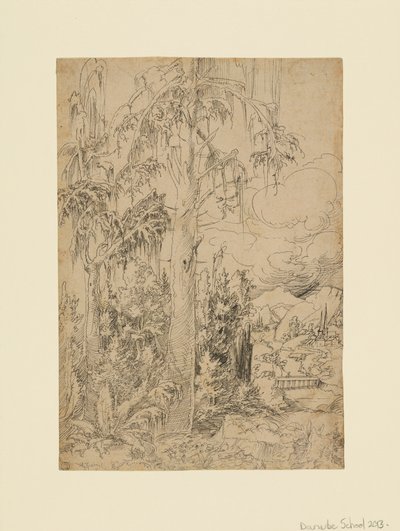 Paysage boisé avec une ville au-delà d