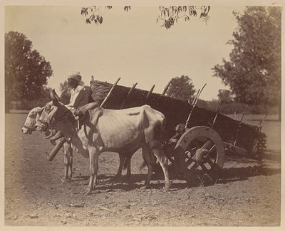 Charrette agricole, Guzerat - Unknown artist