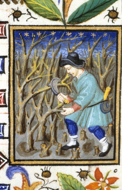 Représentation allégorique de mars. Un homme taillant des arbustes. Miniature d