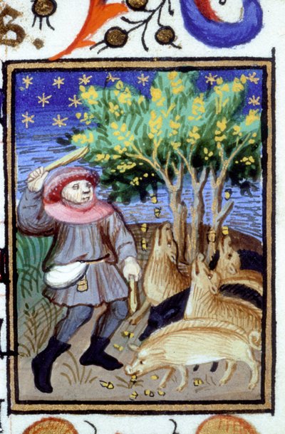 Représentation allégorique de novembre. Un homme avec un groupe de cochons mangeant des glands. Miniature d