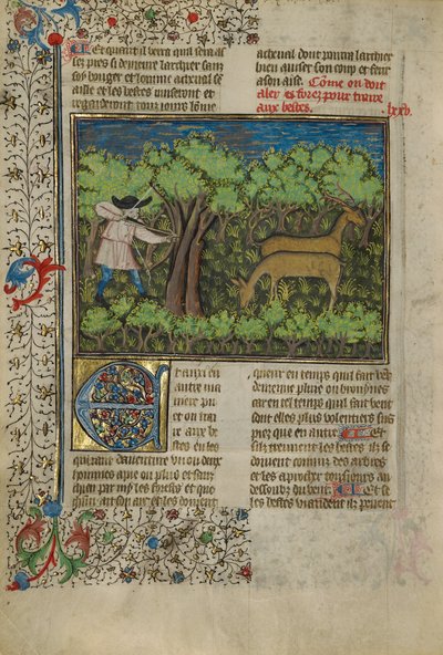 Un archer tirant sur un cerf - Unknown artist