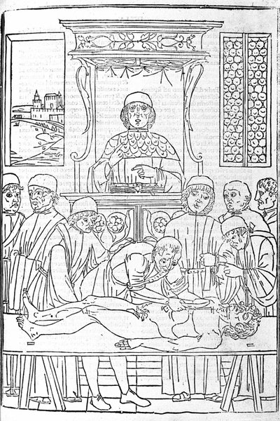 Dissection anatomique. Gravure d