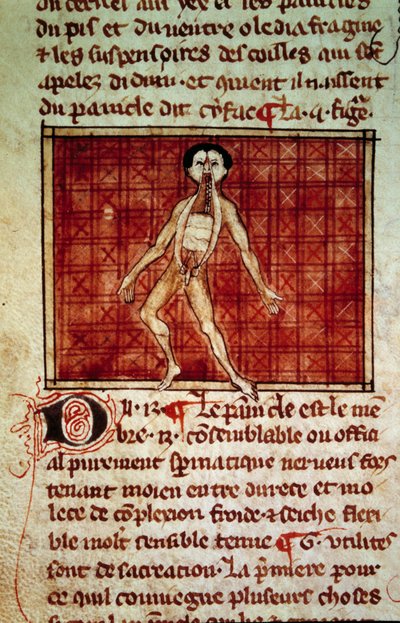 Figure anatomique : peau, poitrine ouverte - Unknown artist