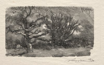 Au dormoir de Lantara - Unknown artist
