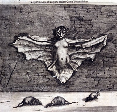 Chauves-souris et rats. « De China Monumenta » par Athanasius Kircher - Unknown artist