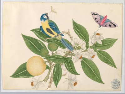 Oiseau sur une branche d