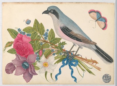 Oiseau bleu sur un bouquet de roses et de tulipes, avec des papillons - Unknown artist