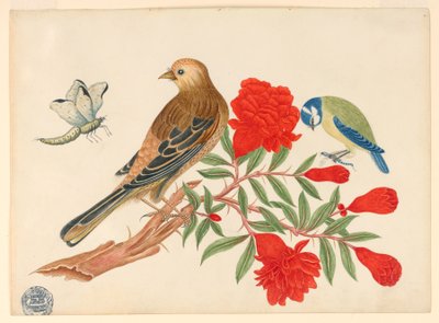 Oiseau brun et noir et oiseau bleu et jaune sur une branche avec des fleurs rouges, chassant des insectes - Unknown artist