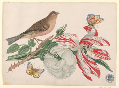Oiseau brun sur une branche avec rose, tulipe et insectes - Unknown artist