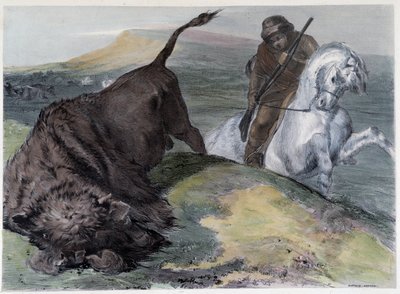 Chasse au bison des Hurons canadiens - dans "Shyth