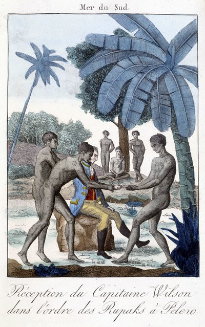 Réception du capitaine Wilson dans l