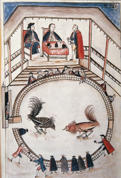 Combat de coqs, un noble assiste au duel, du livre "Trujillo del Peru" ou "Códice Martínez Compañón" - Unknown artist