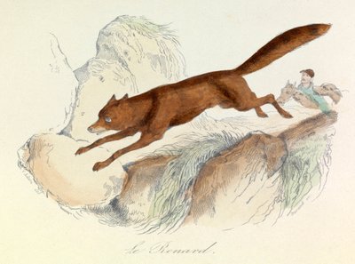 Les "Completes de Buffon" avec la nomenclature de Linné et la classification de Cuvier : Les animaux : Le renard (gravure) - Unknown artist