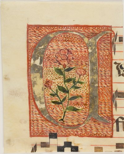 Initiale "A" décorée d